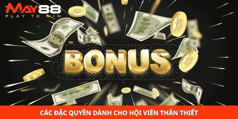 Các đặc quyền dành cho hội viên thân thiết
