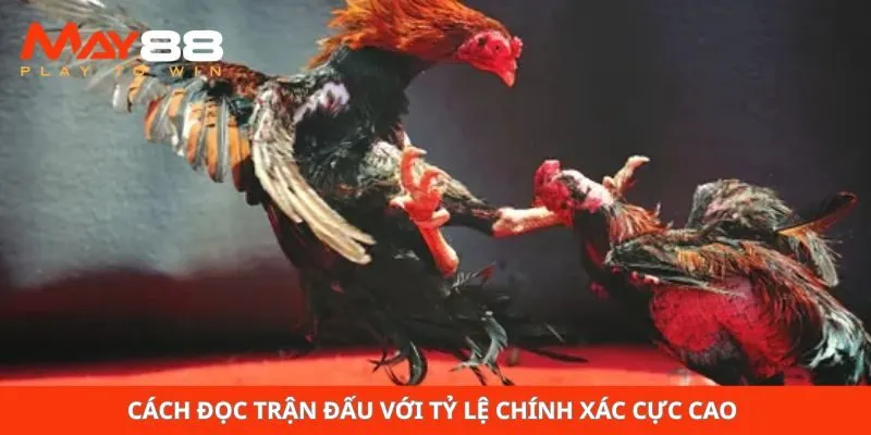 Cách đọc trận đấu với tỷ lệ chính xác cực cao 