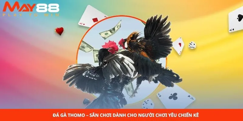 Đá Gà Thomo – Sân Chơi Dành Cho Người Chơi Yêu Chiến Kê