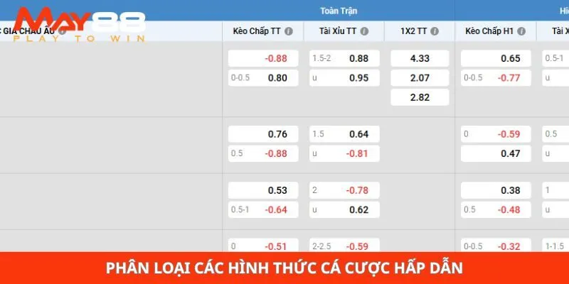 Phân loại các hình thức cá cược hấp dẫn