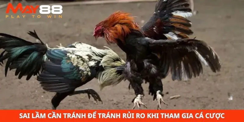 Sai lầm cần tránh để tránh rủi ro khi tham gia cá cược