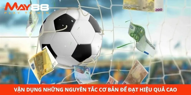 Vận dụng những nguyên tắc cơ bản để đạt hiệu quả cao