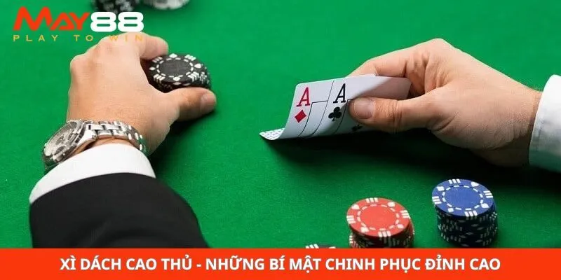 Xì Dách Cao Thủ - Những Bí Mật Chinh Phục Đỉnh Cao